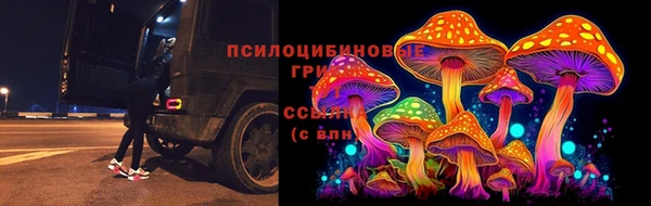 винт Горно-Алтайск