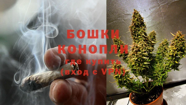 стафф Горнозаводск