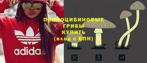 стафф Горнозаводск