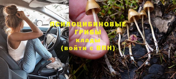 стафф Горнозаводск