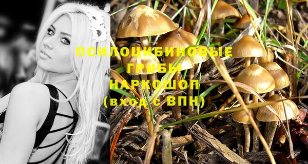 соль курить ск Горняк
